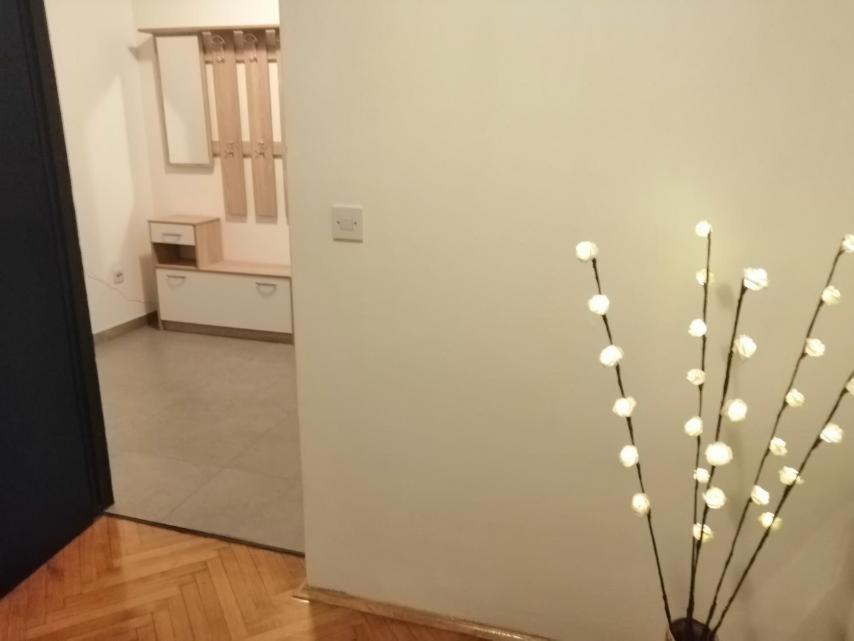 Apartman Sanja Pula Bagian luar foto